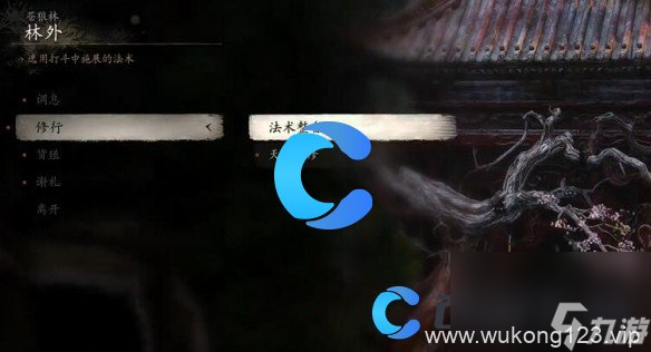 《黑神话悟空》洗点在哪里介绍