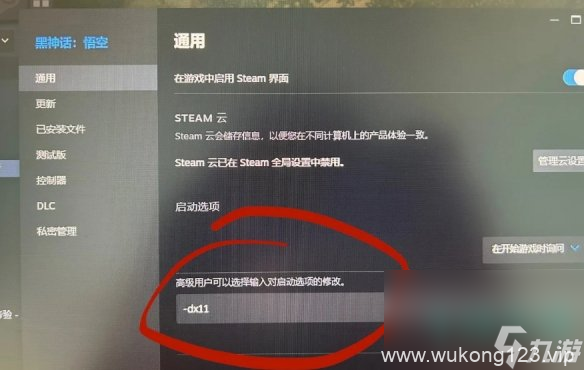 《黑神话悟空》DLSS帧生成问题解决办法