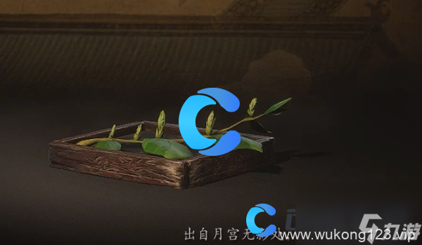 《黑神话悟空》梭罗琼芽获取方法