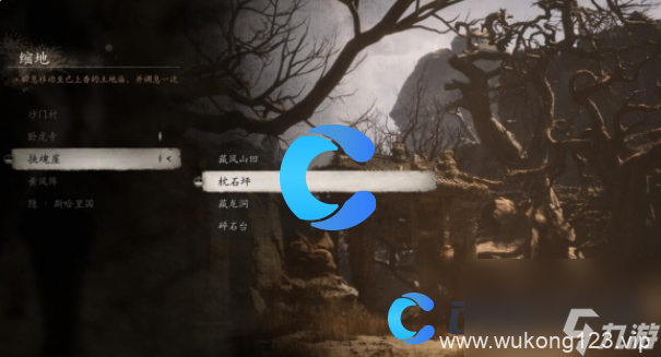 《黑神话悟空》玲珑内丹获取方法