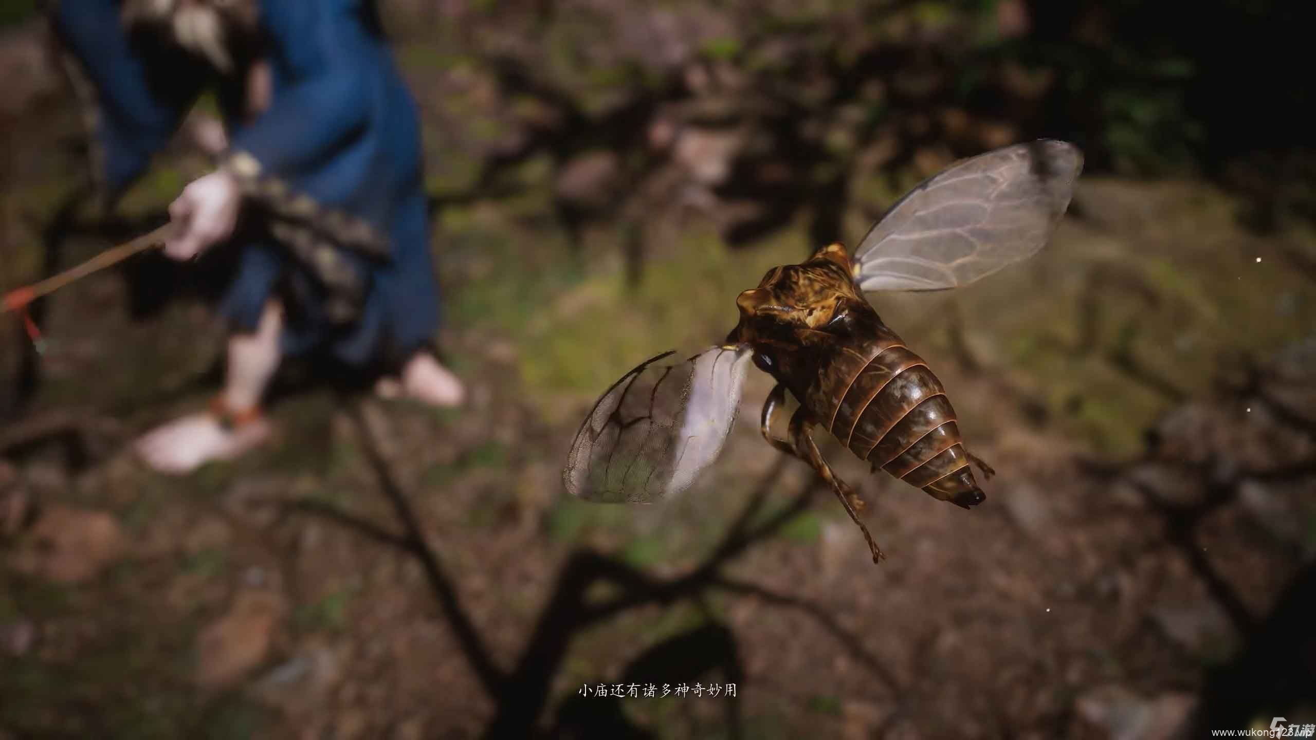 《黑神话 悟空》第一回剧情流程攻略 boss在哪里收集品在哪里指引