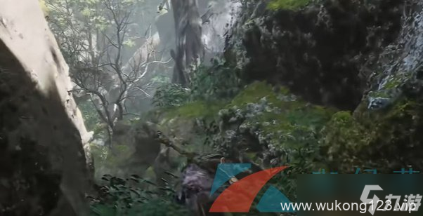 《黑神话悟空》赤髯龙在哪里介绍
