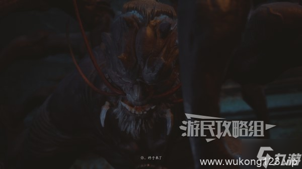 《黑神话悟空》第四回臂甲下毒手获取方法 下毒手怎么获取