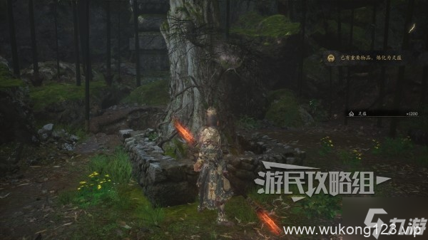 《黑神话悟空》二周目继承及新增内容介绍 二周目继承什么