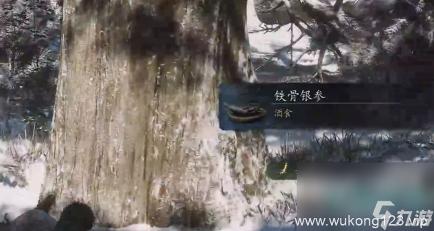 《黑神话悟空》铁骨银参获取方法