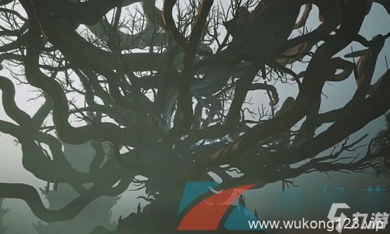 《黑神话悟空》苍狼林尺木间土地庙在哪里