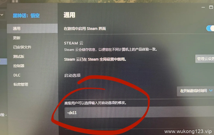 DLSS帧生成问题怎么办 黑神话悟空DLSS帧生成问题解决办法