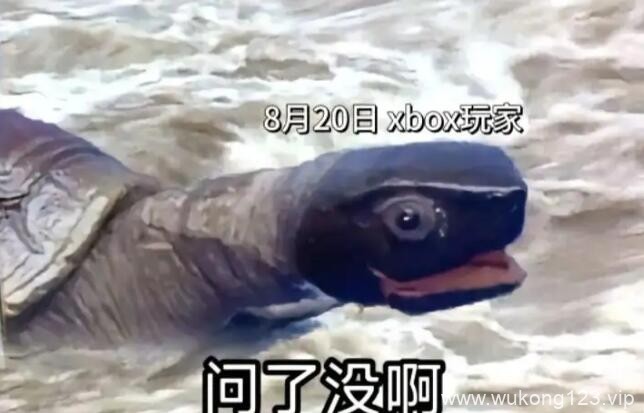黑神话悟空启动表情包 黑神话悟空启动表情包一览