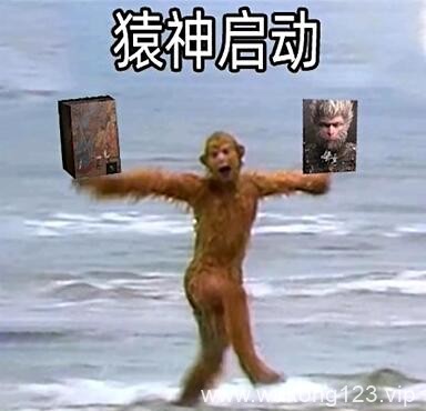 黑神话悟空启动表情包 黑神话悟空启动表情包一览