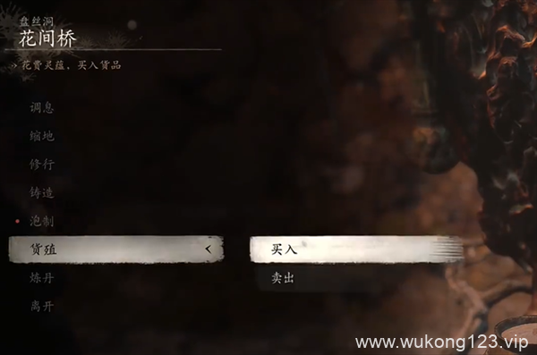 黑神话悟空细金线在哪里获得 黑神话悟空细金线获得方法