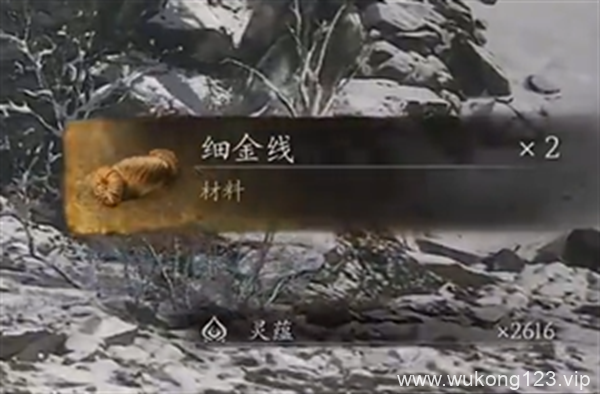 黑神话悟空细金线在哪里获得 黑神话悟空细金线获得方法
