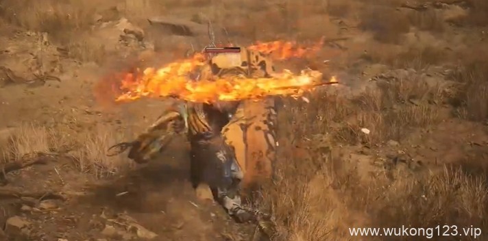 黑神话悟空广智大招怎么用 黑神话悟空广智大招介绍
