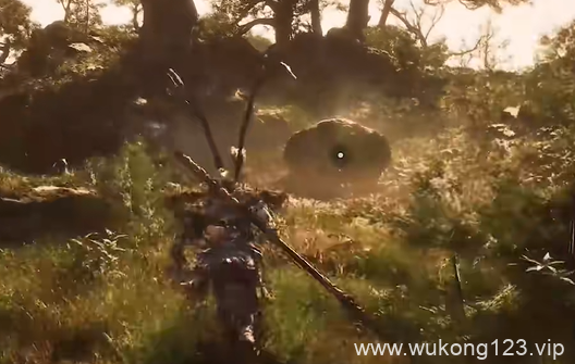 黑神话悟空石卵土地庙在哪 石卵土地庙所在位置介绍