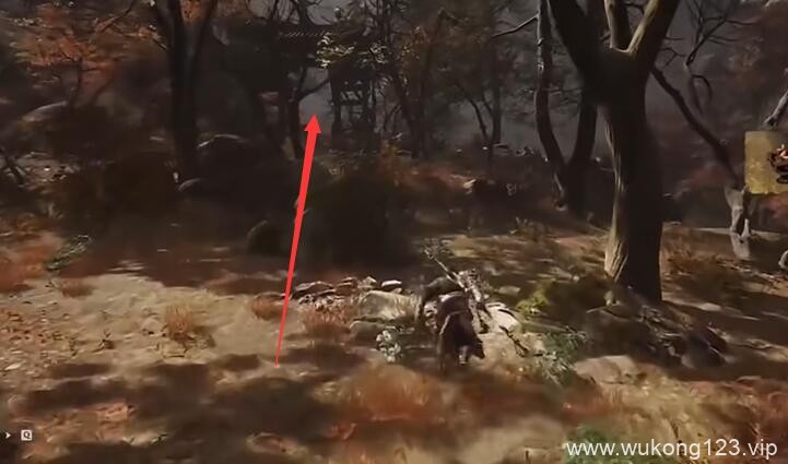 黑神话悟空毒敌大王怎么触发 毒敌大王触发条件介绍