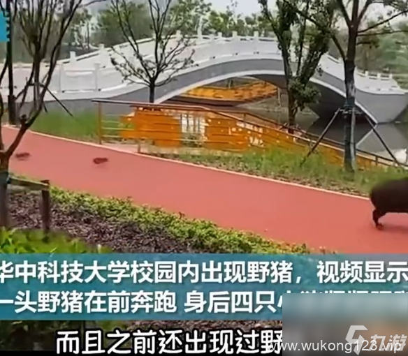 《黑神话 悟空》隐藏彩蛋大公开 黄风岭竟是华科大灵感来源