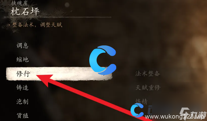 《黑神话悟空》精魄升级指南