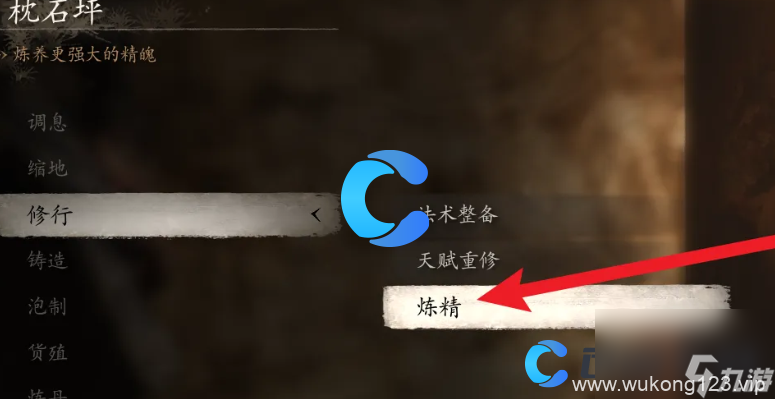 《黑神话悟空》精魄升级指南