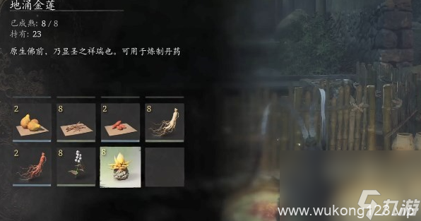 《黑神话悟空》地莲种子获取方法