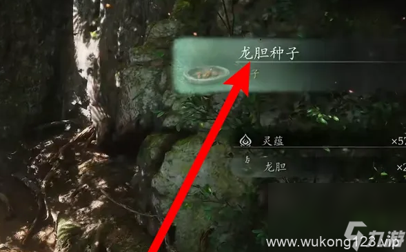 《黑神话悟空》龙胆种子获取方法