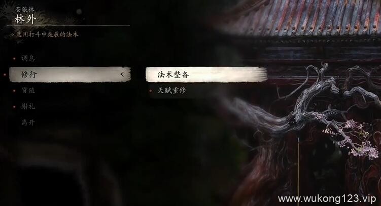 黑神话悟空怎么洗点 黑神话悟空洗点方法
