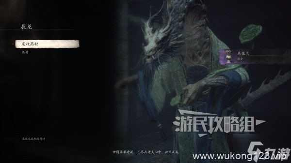 《黑神话悟空》蕙性兰获取方法