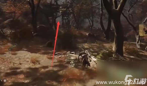 《黑神话悟空》毒敌大王触发条件