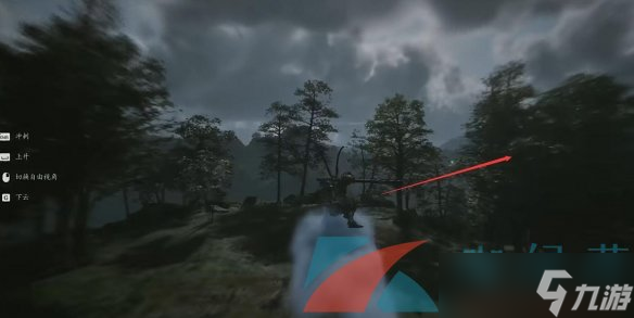 《黑神话悟空》仙胞石片珍品获取方法