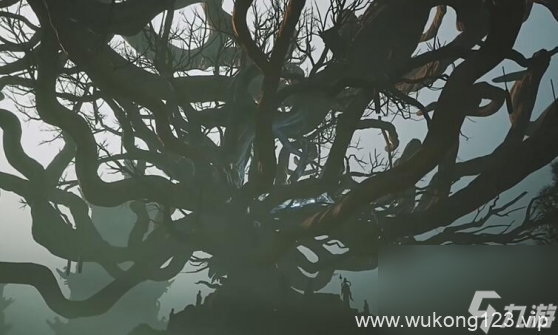 《黑神话 悟空》苍狼林土地庙在哪