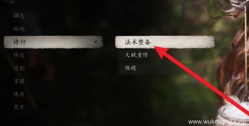 黑神话悟空变化技能怎么改 黑神话悟空变化技能更改方法