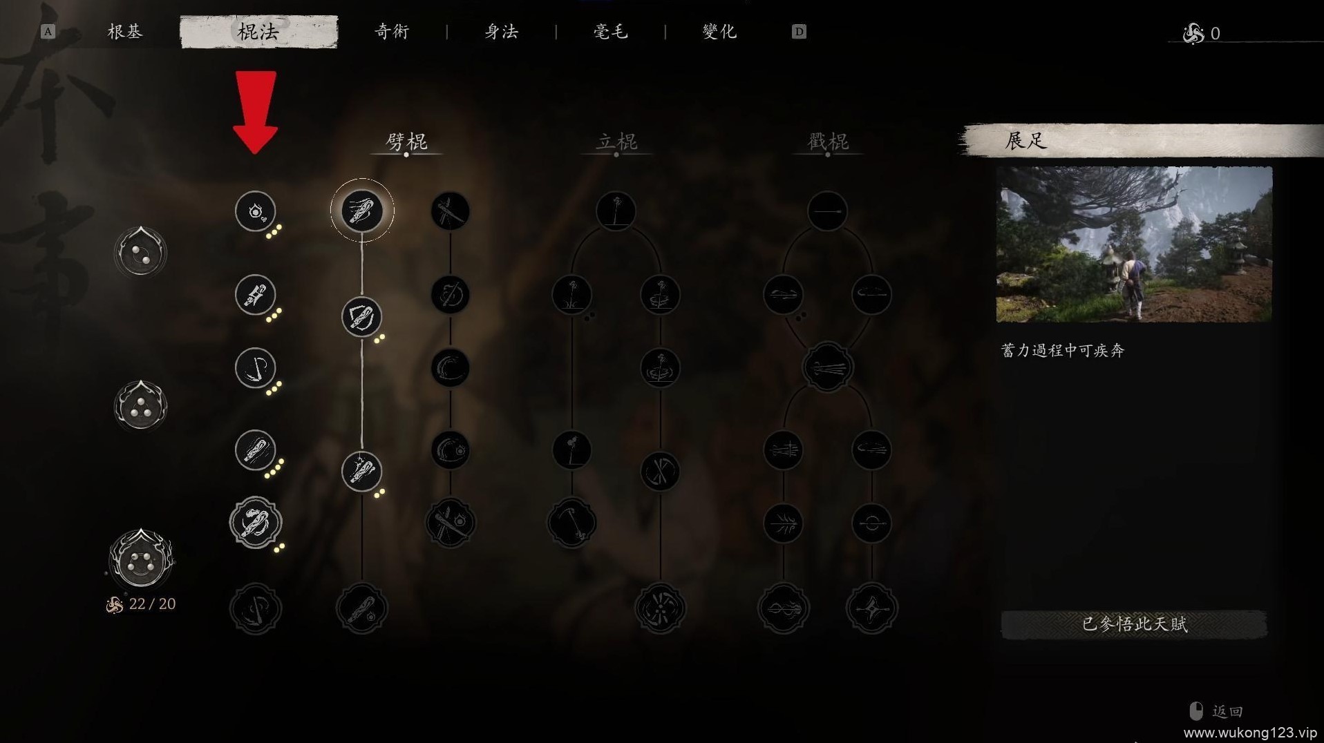 黑神话悟空永冻流玩法分享 黑神话悟空永冻流配装攻略