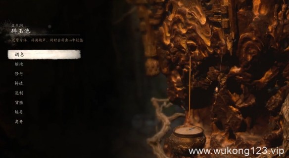 黑神话悟空盘丝洞刷级地方在哪 盘丝洞快速刷级地点介绍