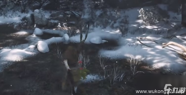 《黑神话 悟空》泡酒物第三章获取方法