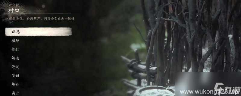 《黑神话 悟空》乌川变身怎么用